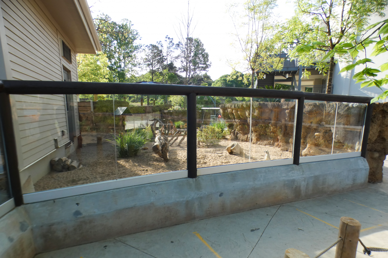 Apr. 2021 - African Savanna - Right Meerkat Exhibit