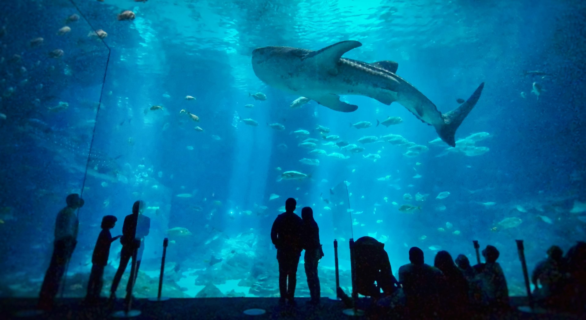 Apr. 2021 - Ocean Voyager