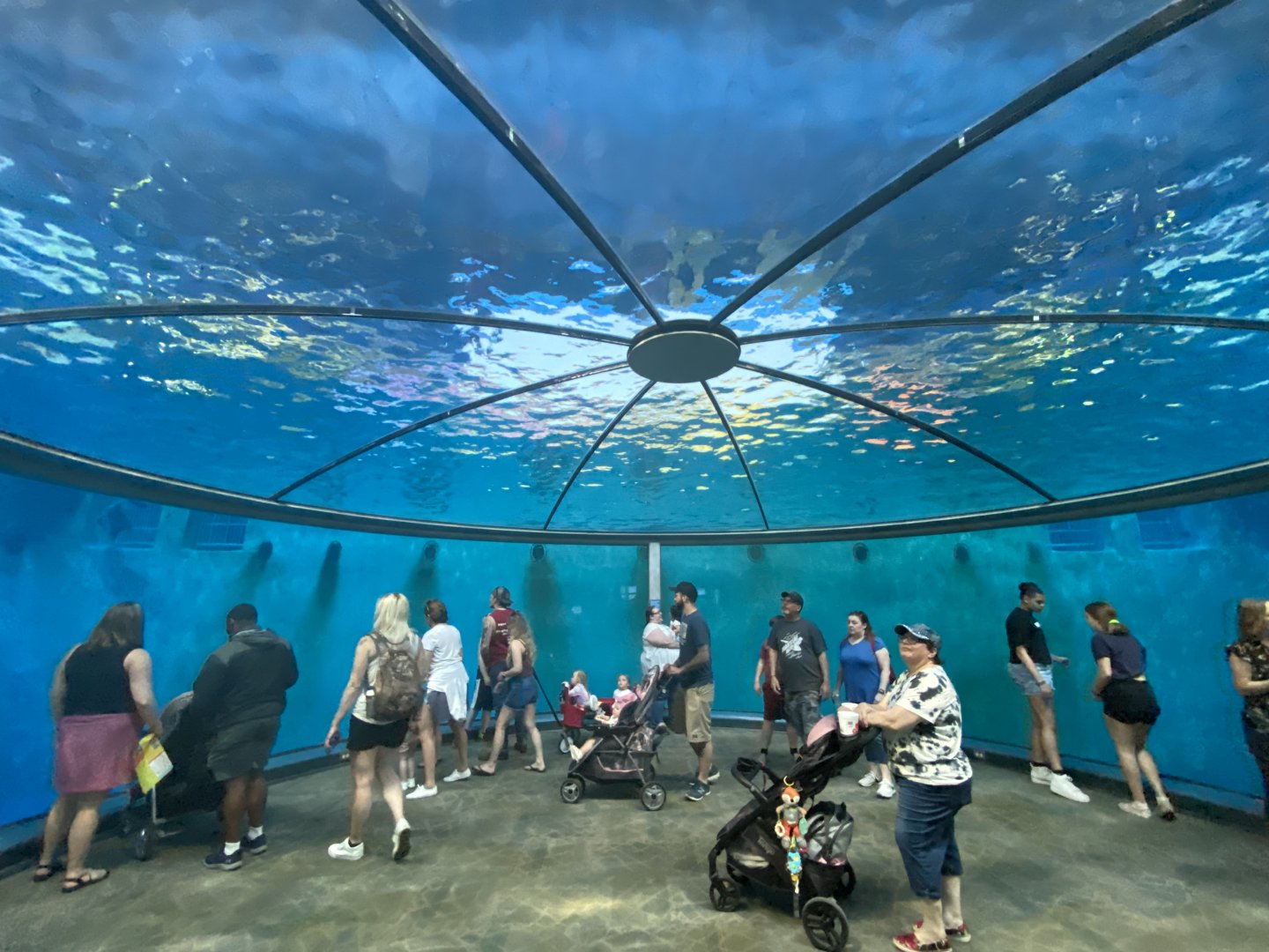 Apr. 2022 - Dolphin Dome