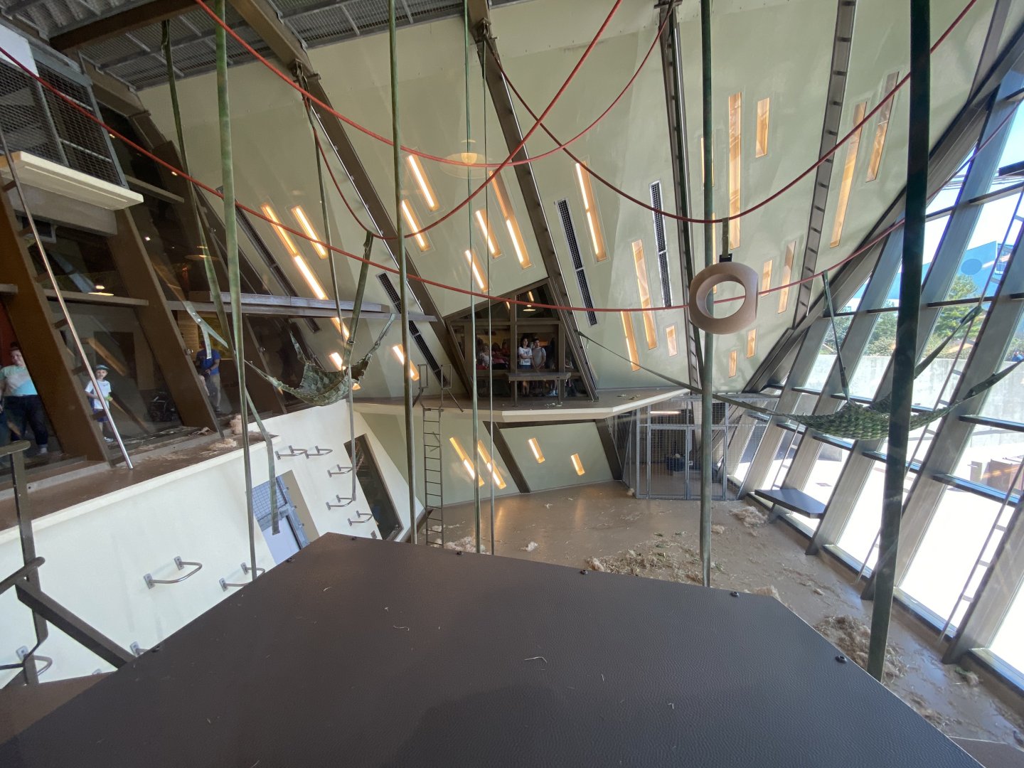 Apr. 2022 - International Orangutan Center - Main Exhibit