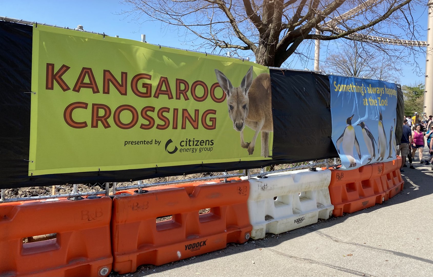 Apr. 2022 - Kangaroo Crossing Construction (May 2022)