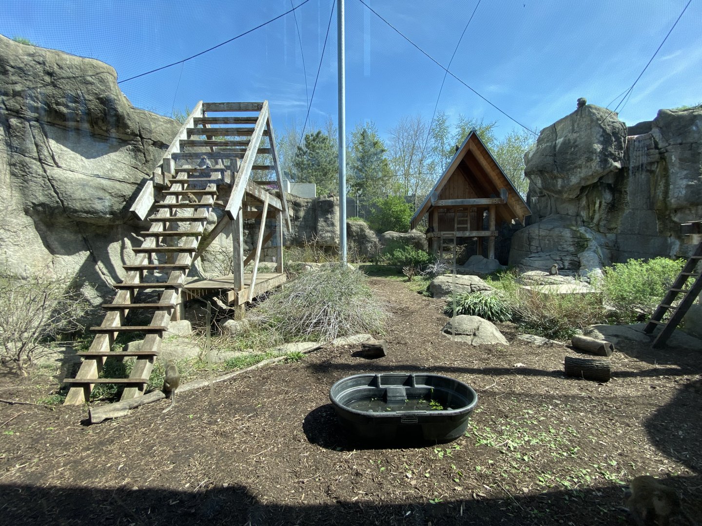 Apr. 2022 - Oceans - Long-tailed Macaque Exhibit