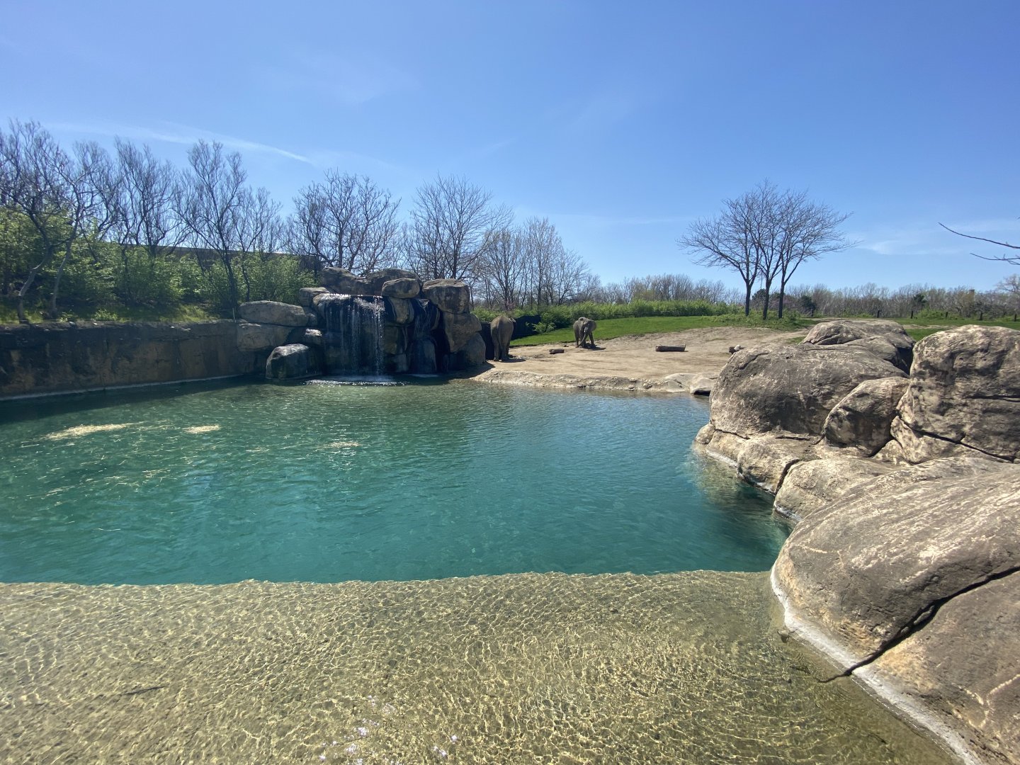 Apr. 2022 - Plains - African Elephant Exhibit