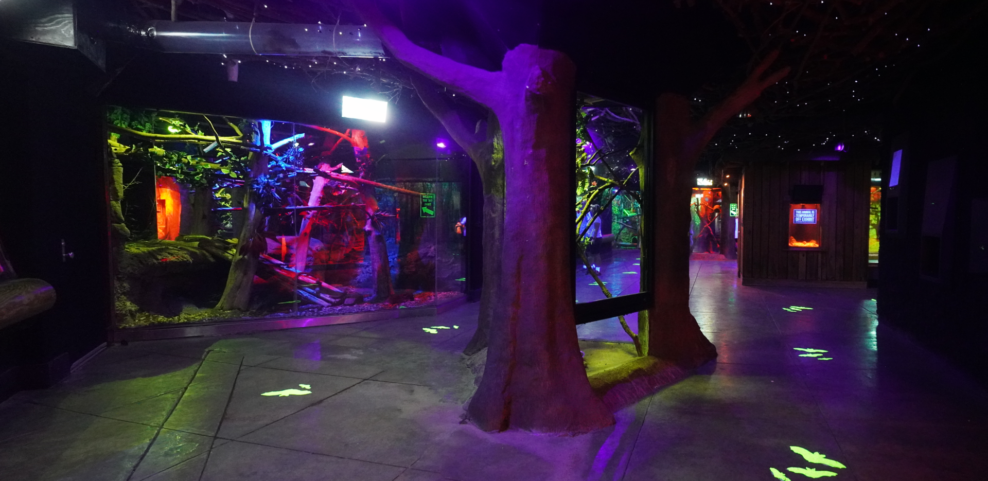 Apr. 2023 - Animals of the Night - Ringtail + Crested Porcupine Exhibits