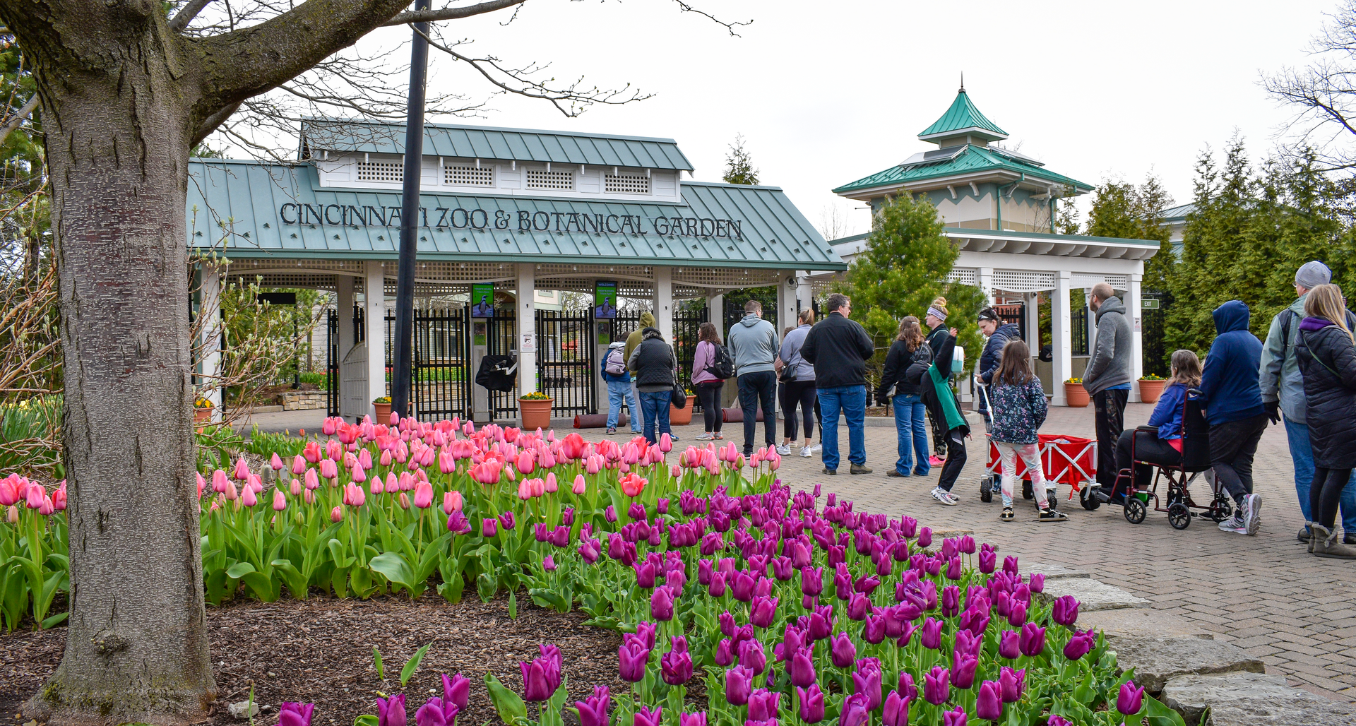 Apr. 2023 - Entrance + Blooms