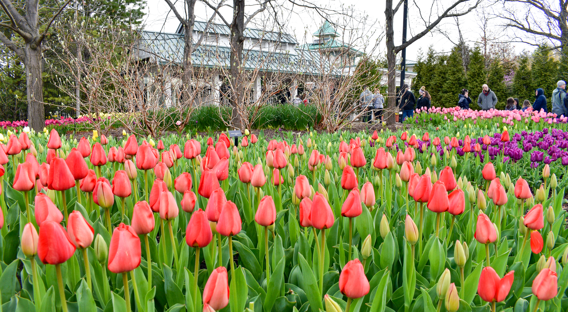 Apr. 2023 - Entrance + Blooms