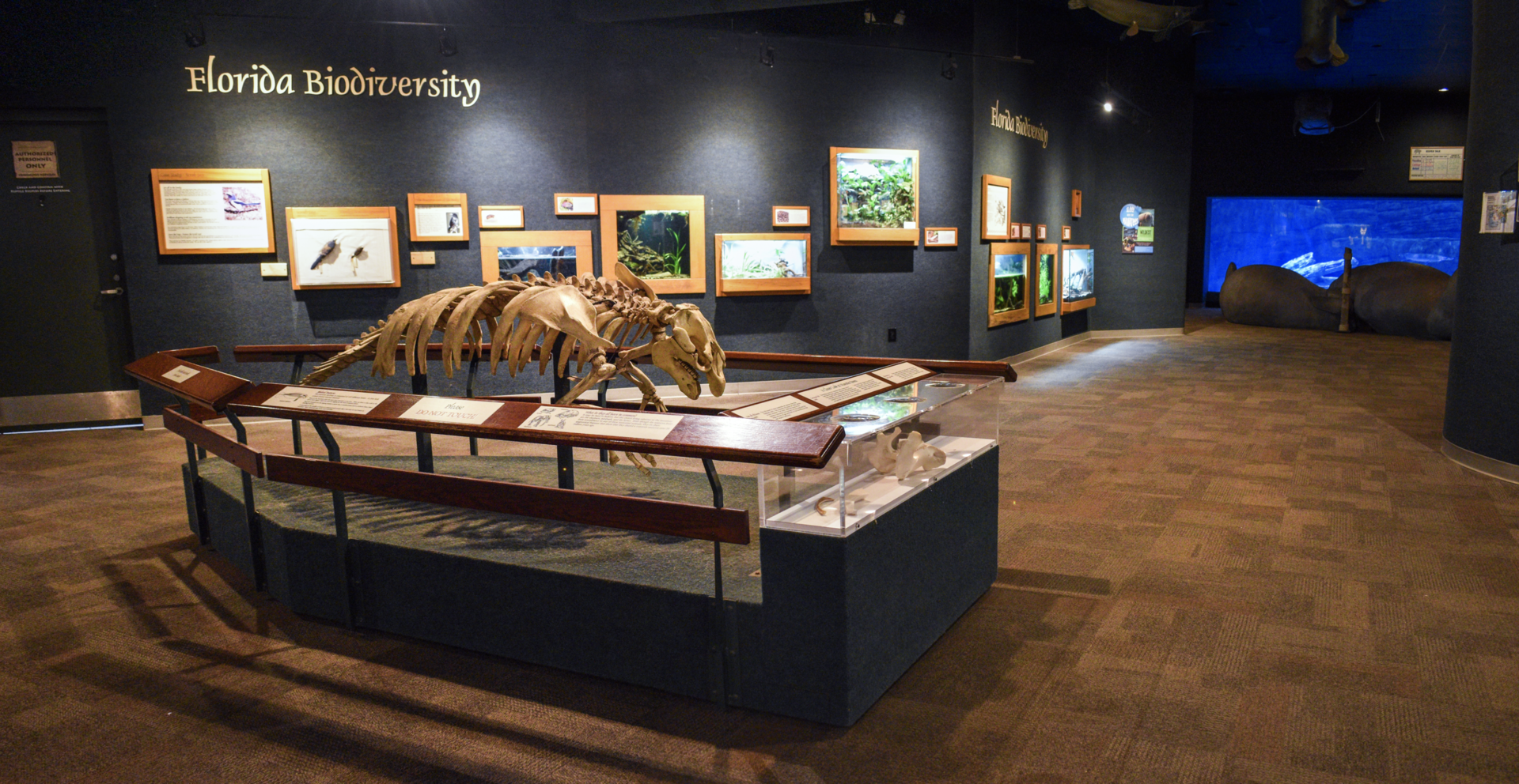 Apr. 2023 - Manatee Springs - Florida Biodiversity