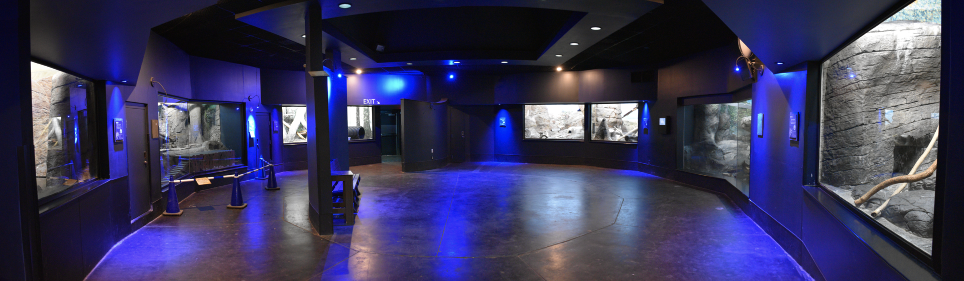 Apr. 2023 - Night Hunters - Rotunda Panorama