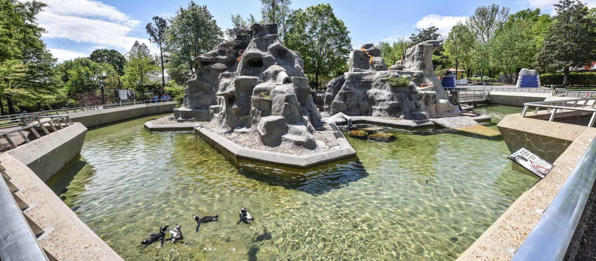 Apr. 2023 - Penguin Rock Panorama