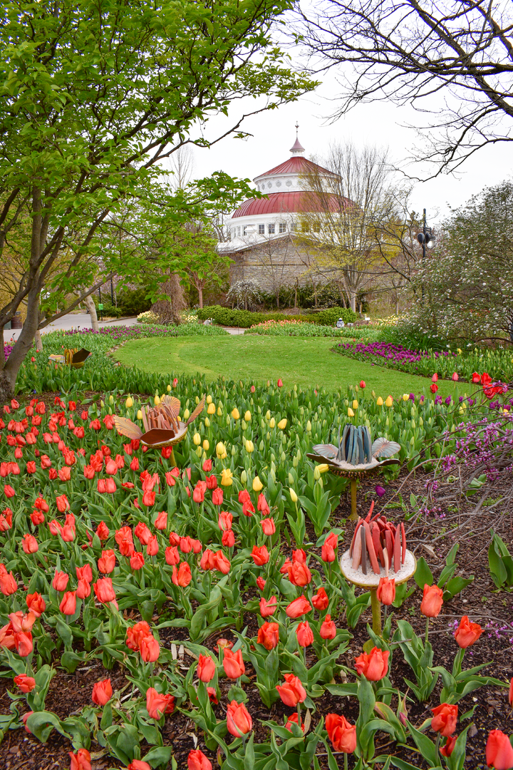 Apr. 2023 - Reptile House + Blooms