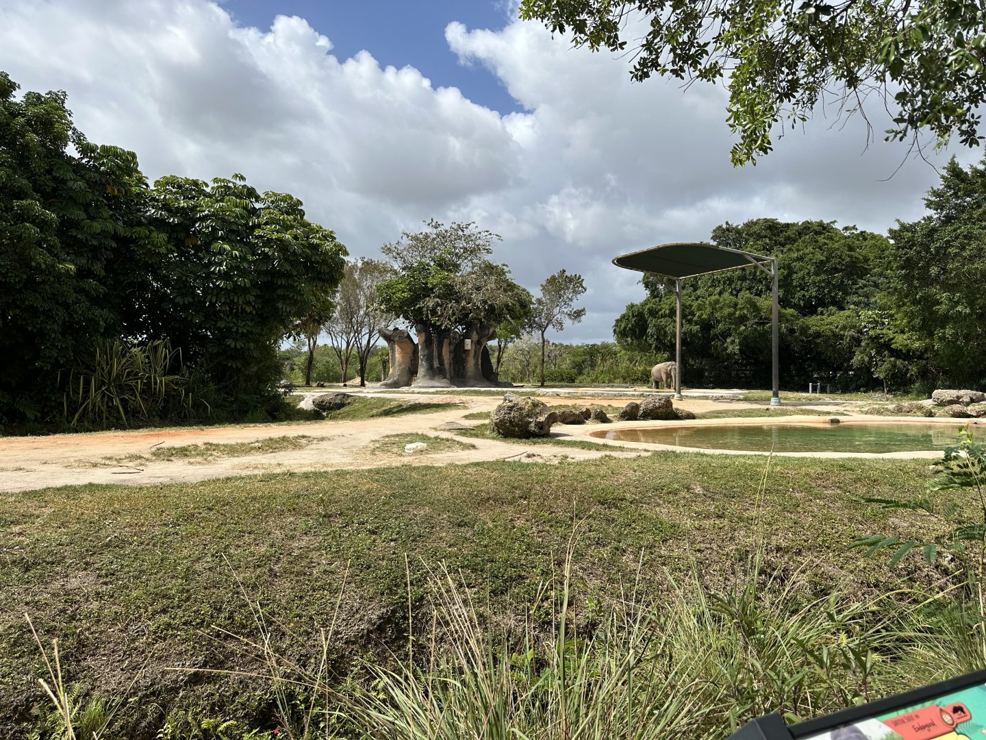 Apr. 2024 - Asian Elephant Exhibits