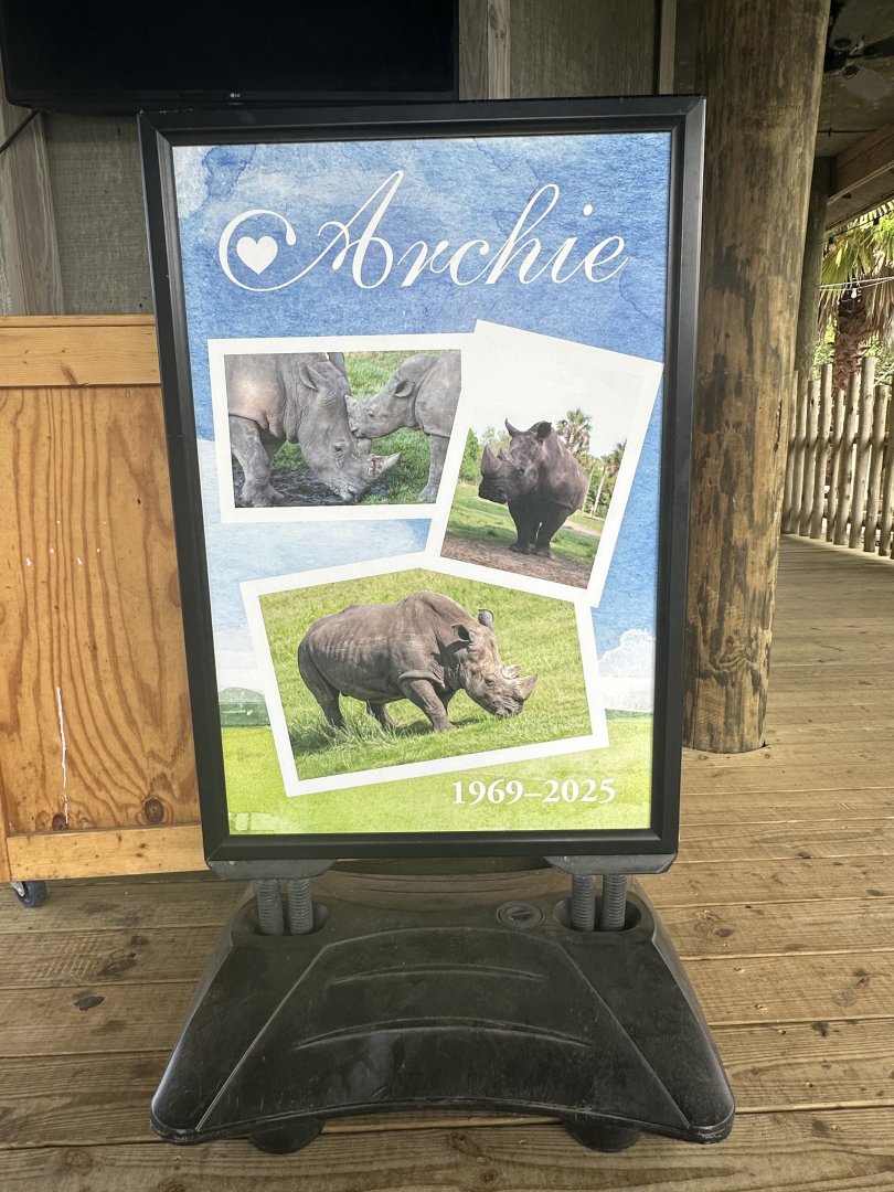 Apr. 2025 - Africa Loop - Archie Signage