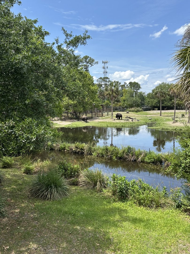 Apr. 2025 - Africa Loop - Rhino Savanna (1)