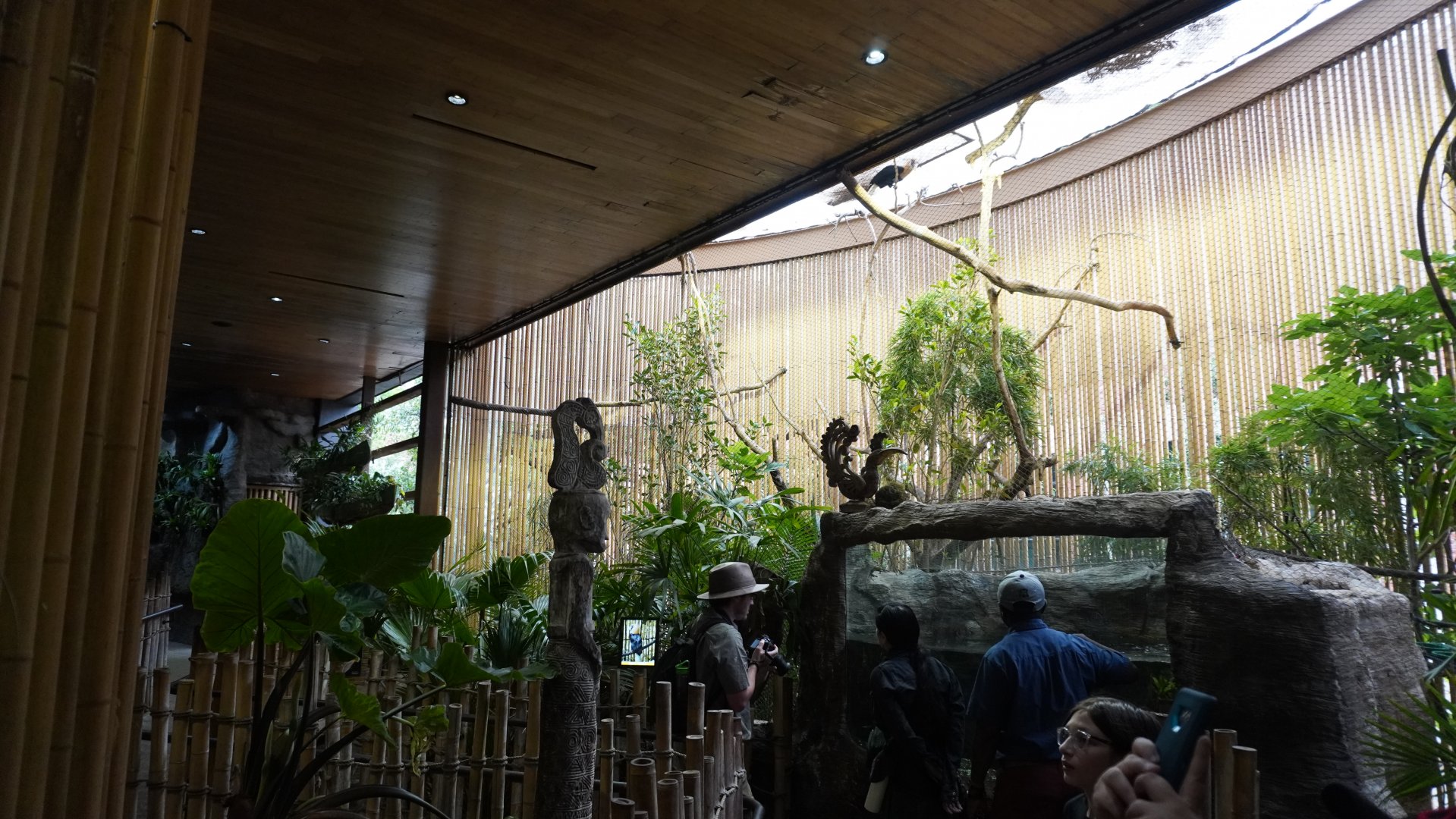 Apr. 2025 - Borneo - Hornbill + Arowana Exhibits