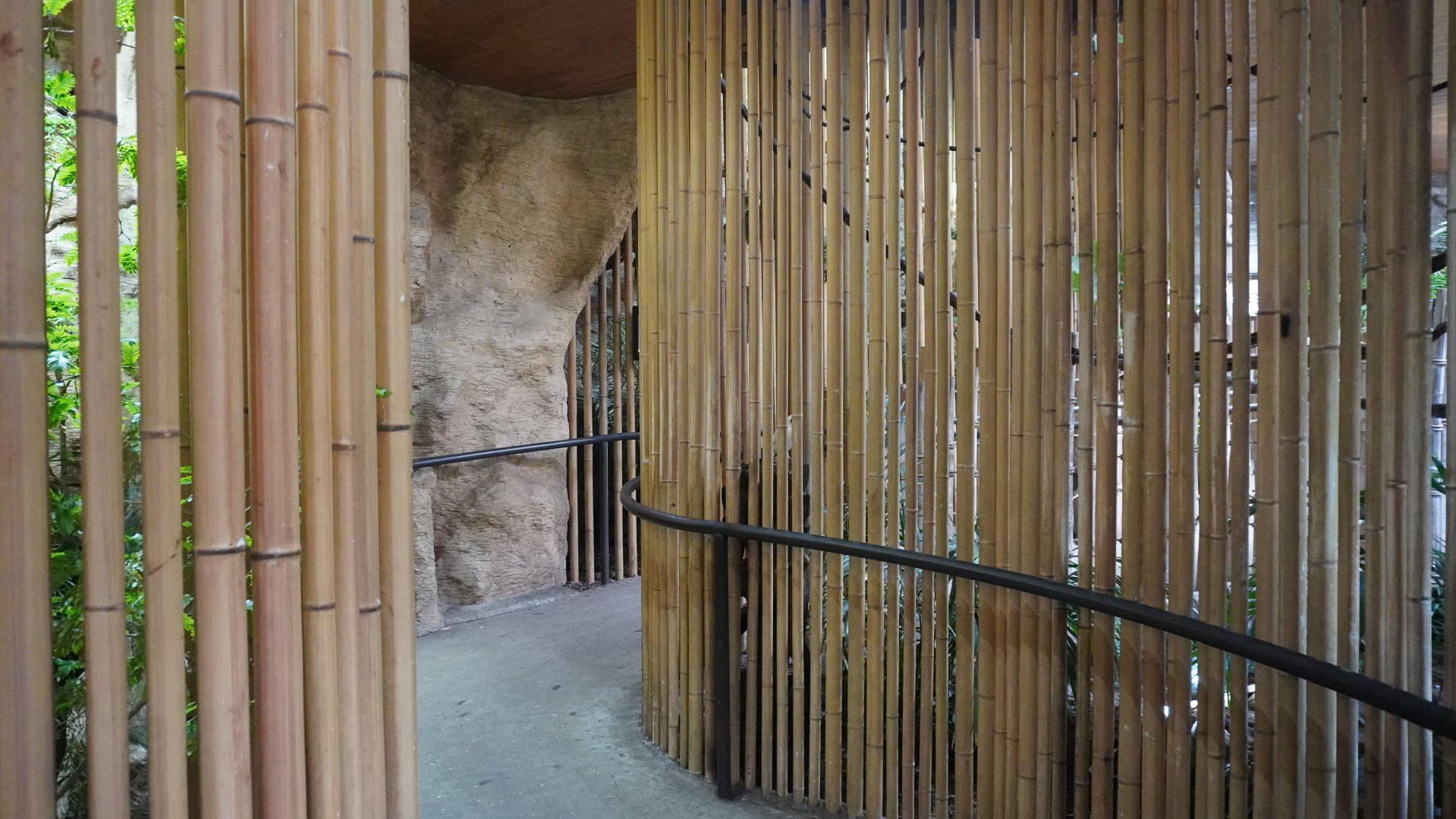 Apr. 2025 - Borneo - Three Exhibit