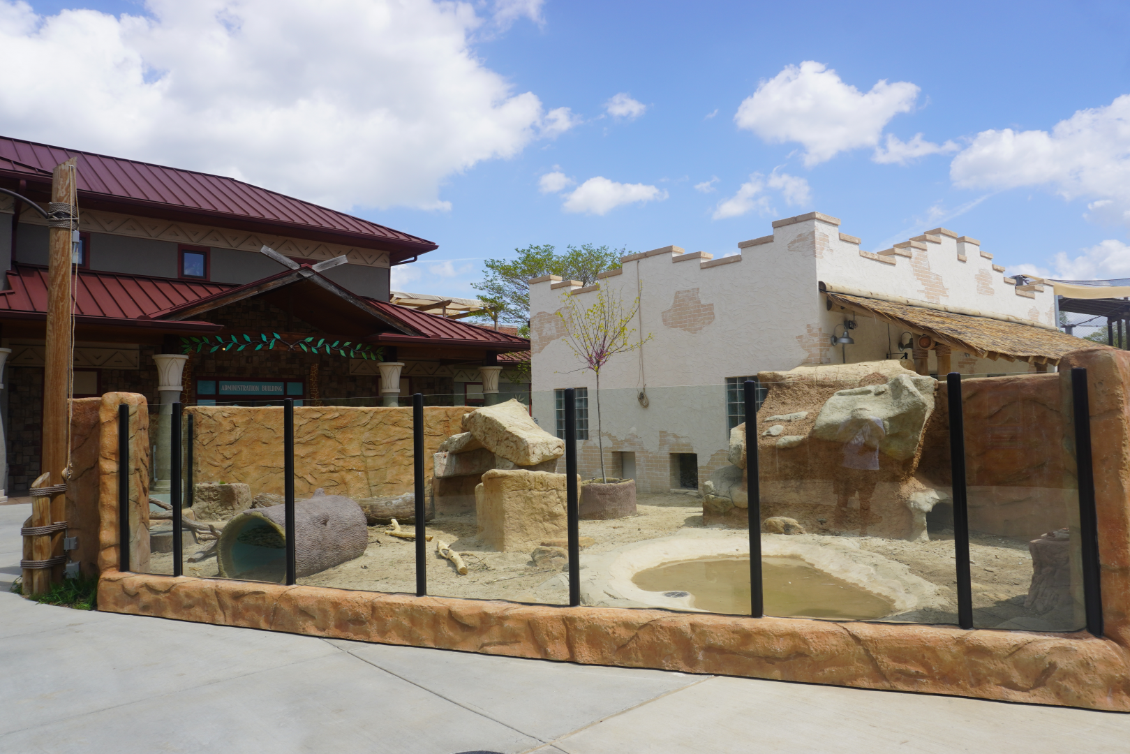 Apr. 2025 - Cape of Africa - Cape Porcupine Outdoor Exhibit