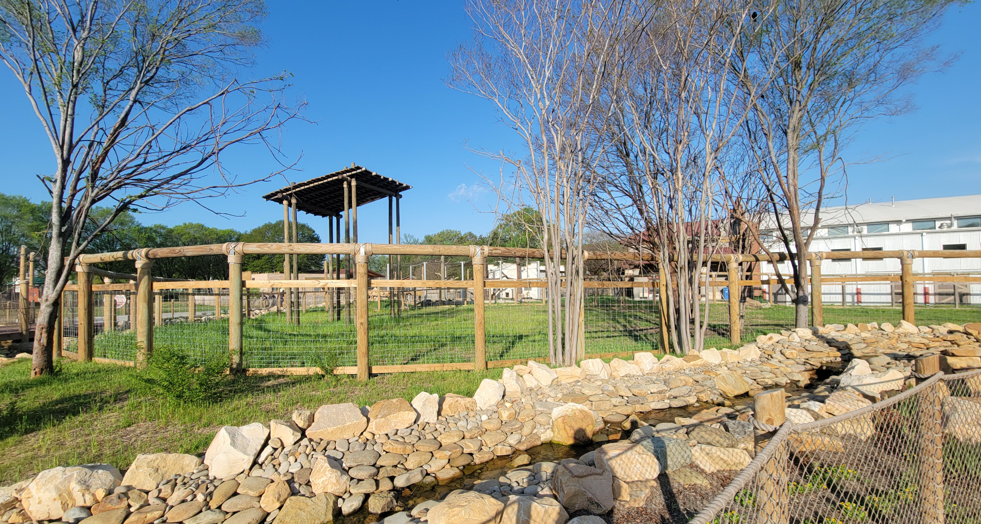 Apr. 2025 - Cape of Africa - Giraffe Larger Exhibit