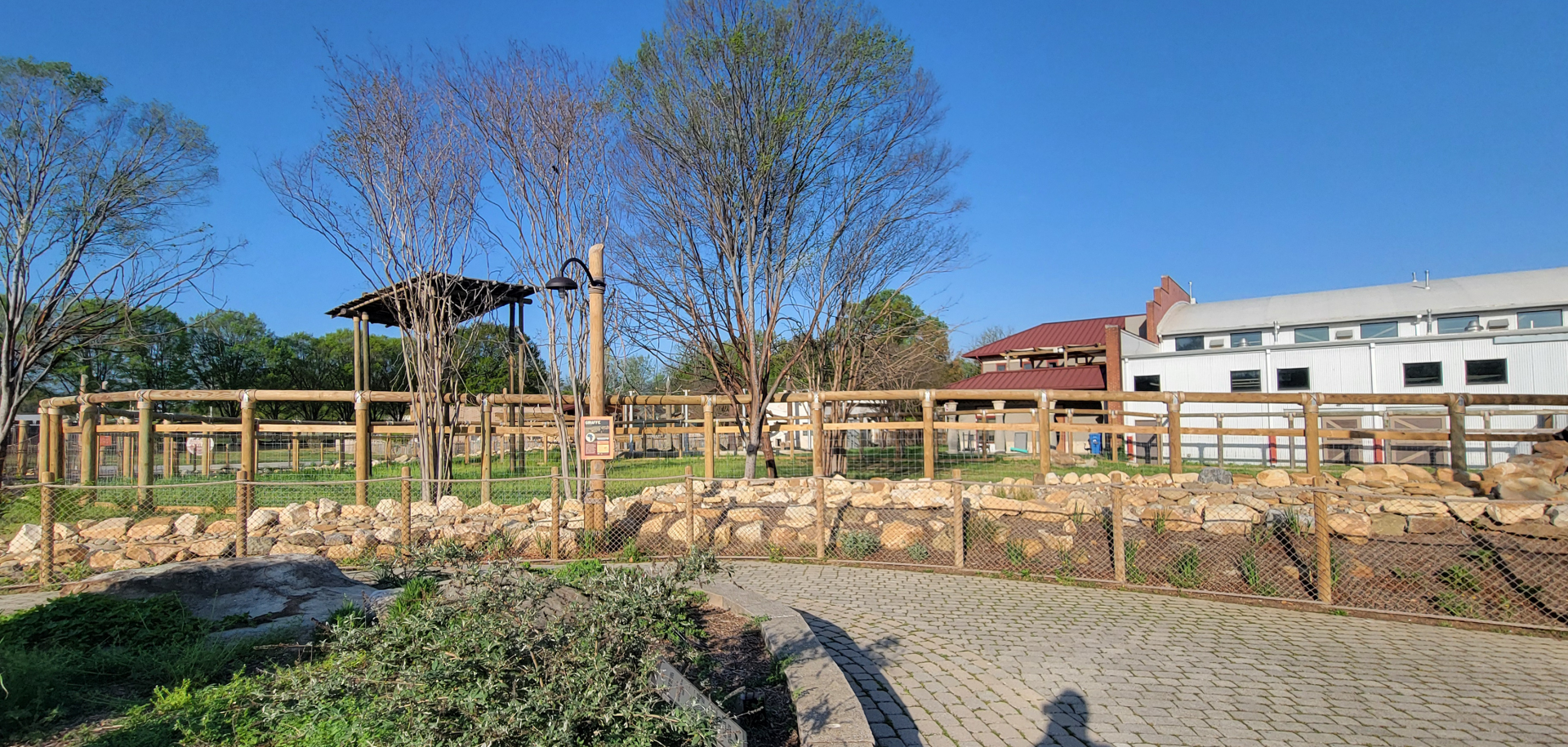 Apr. 2025 - Cape of Africa - Giraffe Larger Exhibit