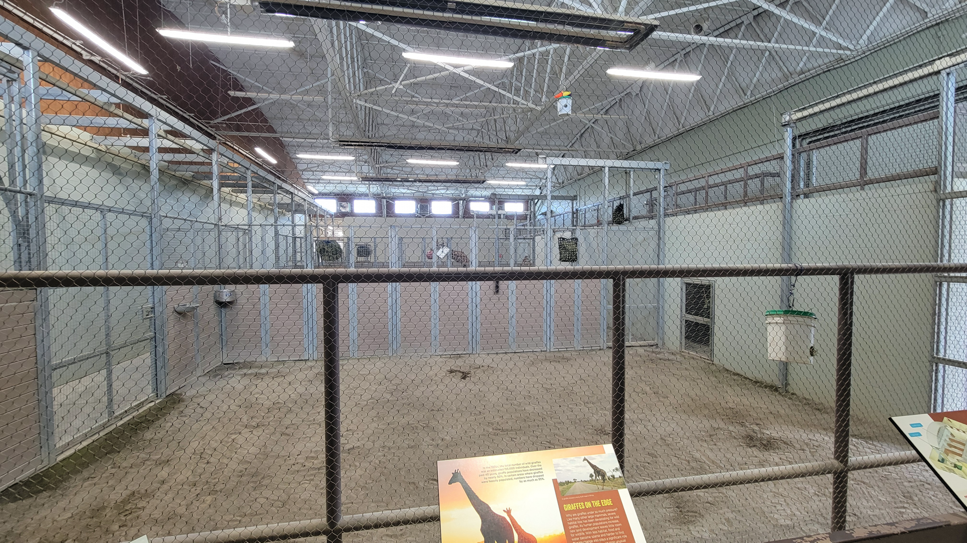 Apr. 2025 - Cape of Africa - Makazi Ya Twiga - Giraffe Indoor Exhibit