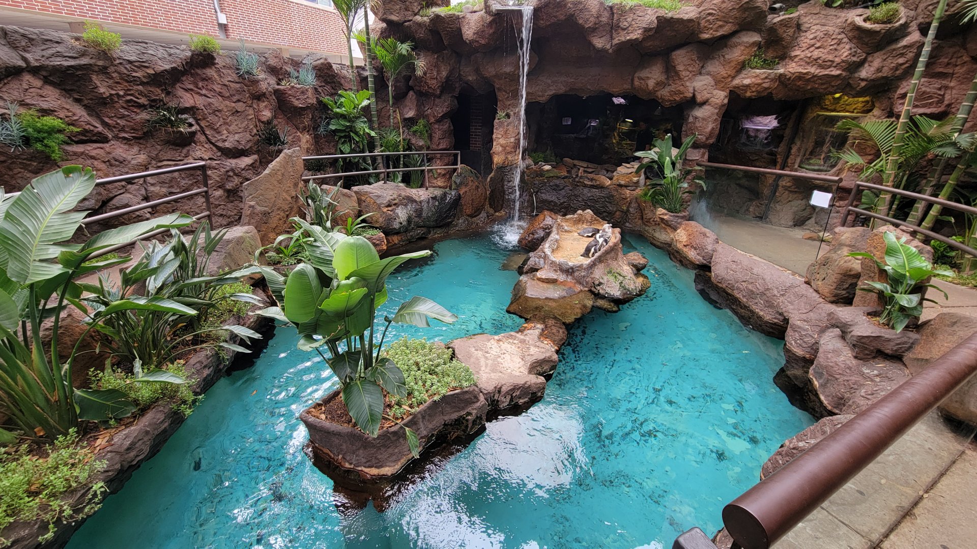 Apr. 2025 - Cape of Good Hope - African Penguin Exhibit (Half of it)