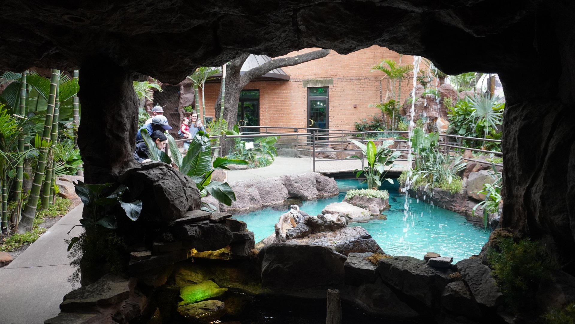 Apr. 2025 - Cape of Good Hope - African Penguin Exhibit