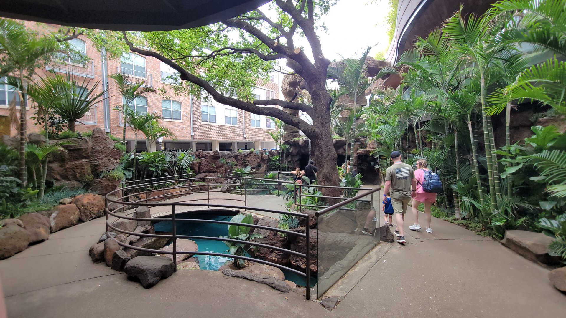 Apr. 2025 - Cape of Good Hope - African Penguin + Shoebill Exhibits