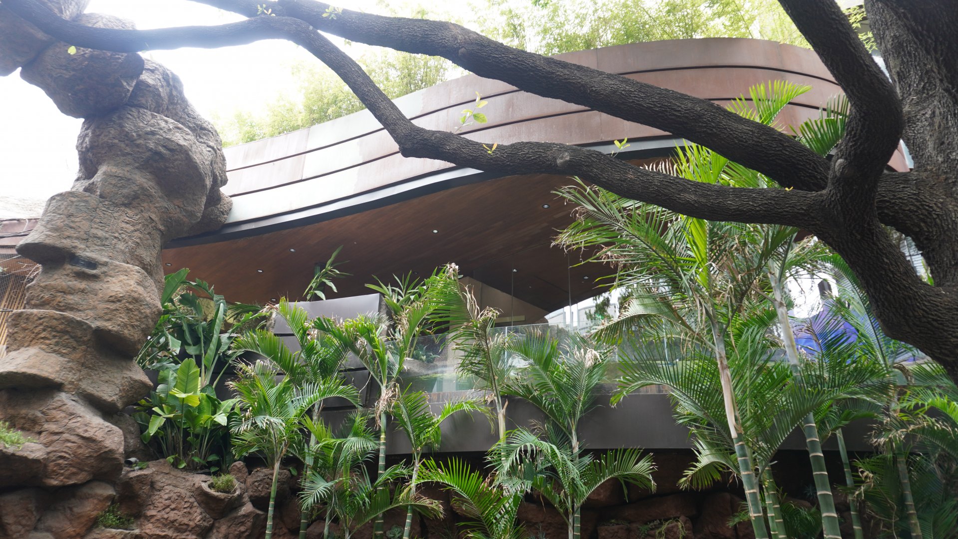 Apr. 2025 - Cape of Good Hope - Blue Penguin Exhibit