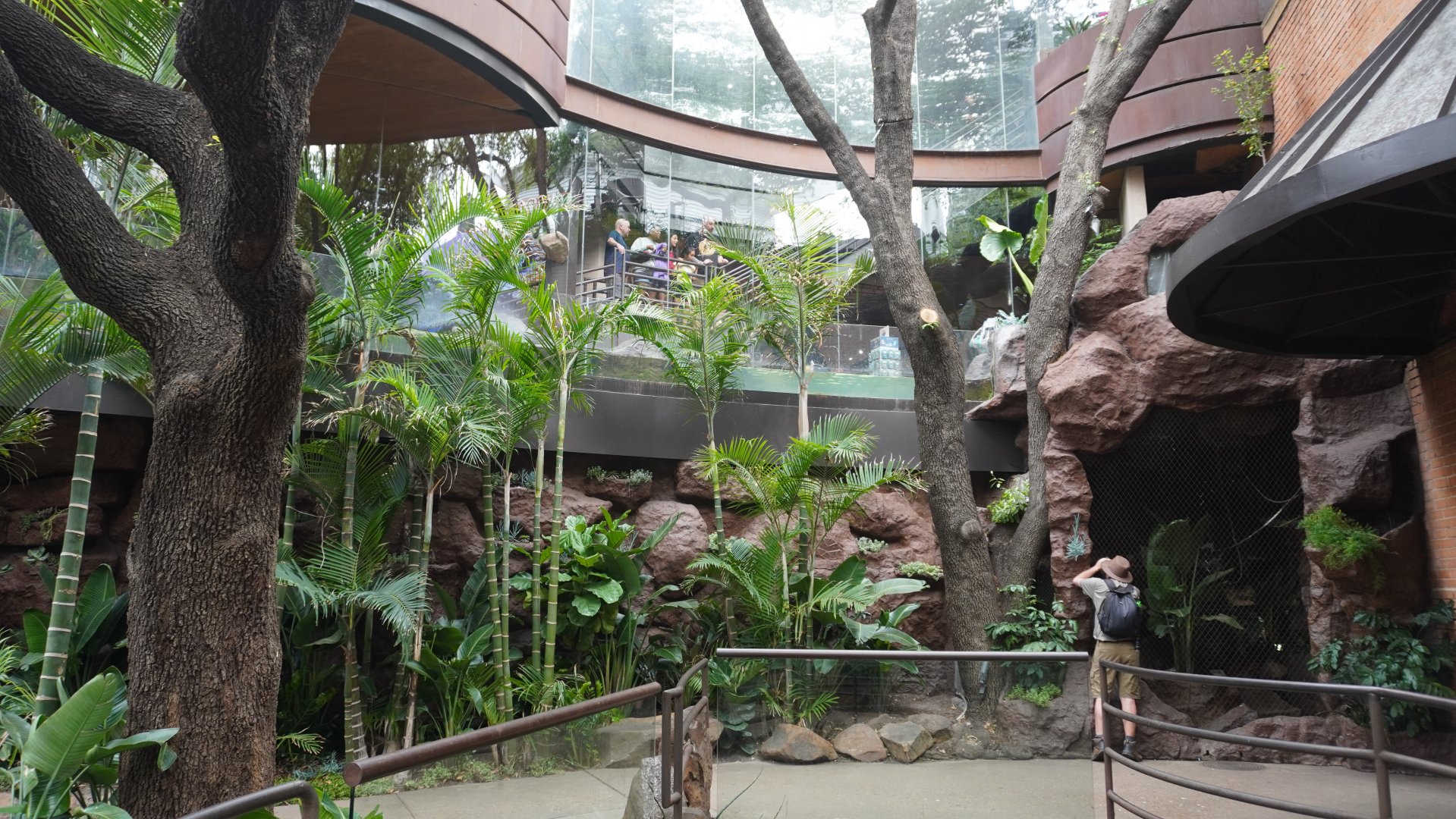 Apr. 2025 - Cape of Good Hope - Blue Penguin Exhibit