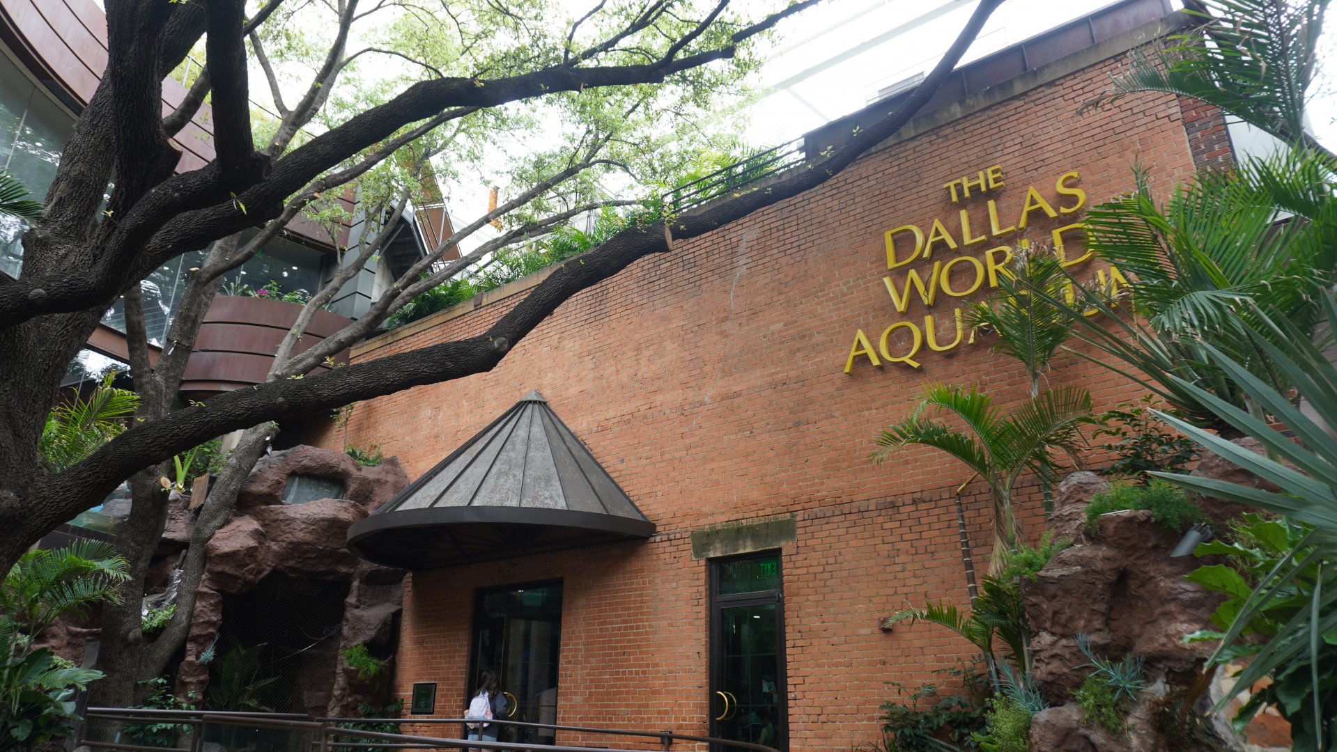 Apr. 2025 - Cape of Good Hope