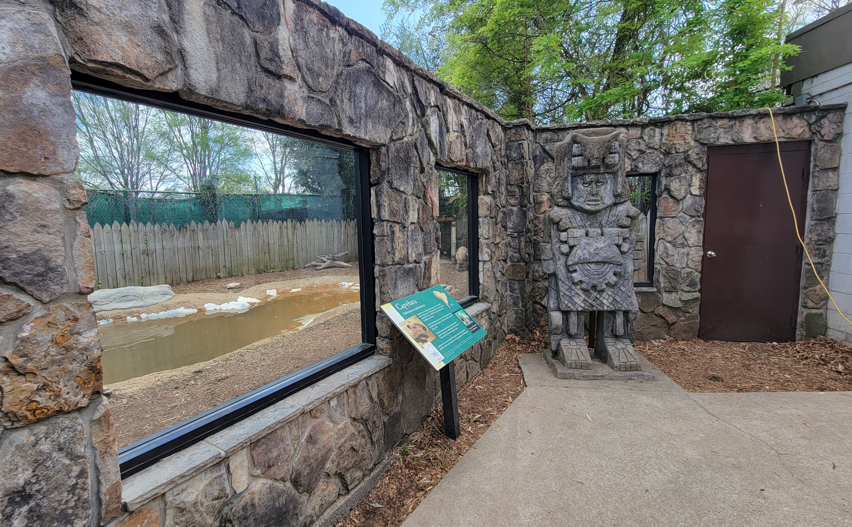 Apr. 2025 - Corcovado Jungle - Capybara/Muscovy Duck Exhibit Viewing