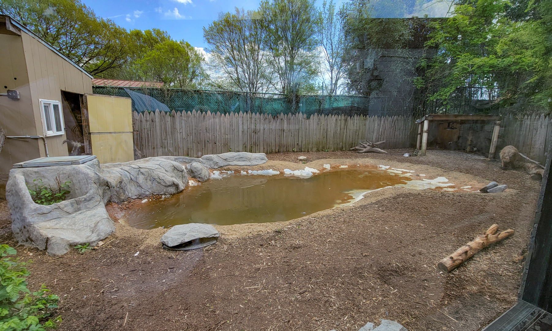 Apr. 2025 - Corcovado Jungle - Capybara/Muscovy Duck Exhibit