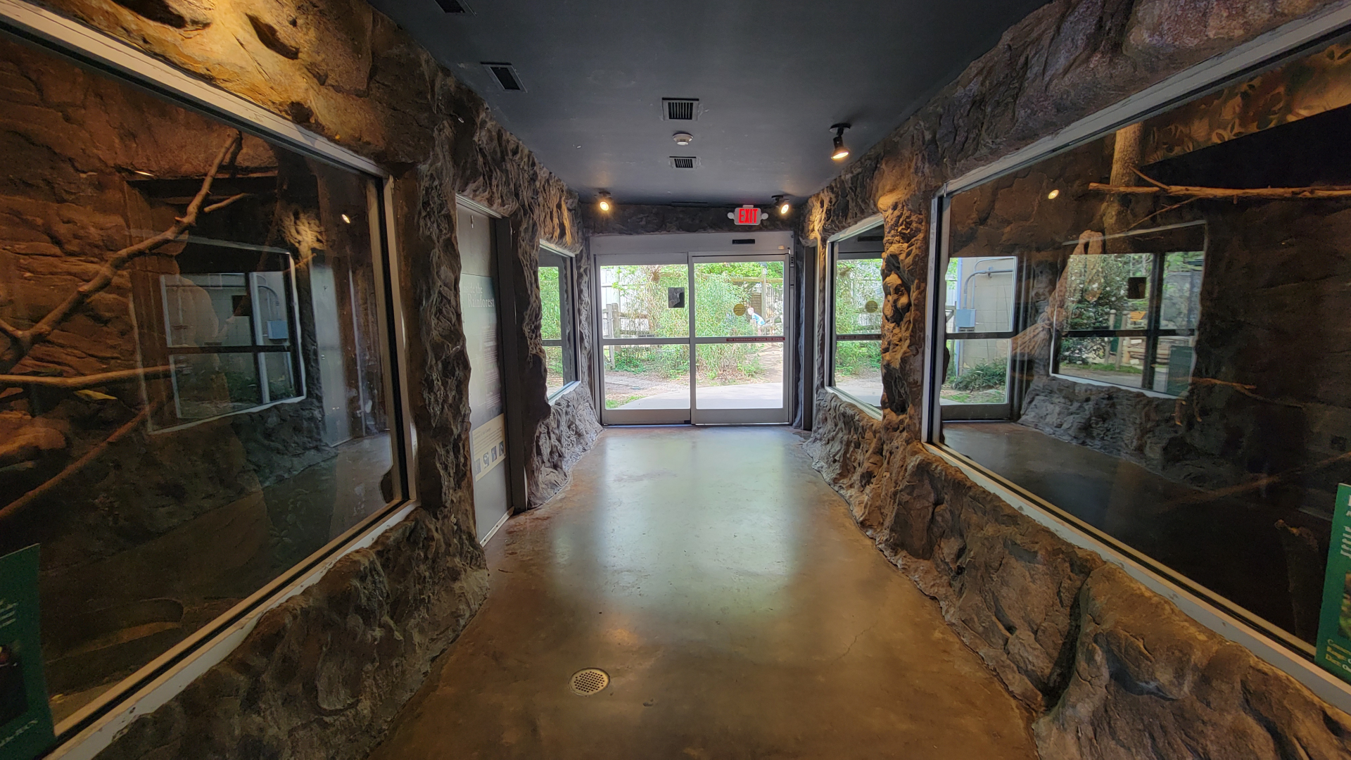 Apr. 2025 - Corcovado Jungle - Four Exhibit