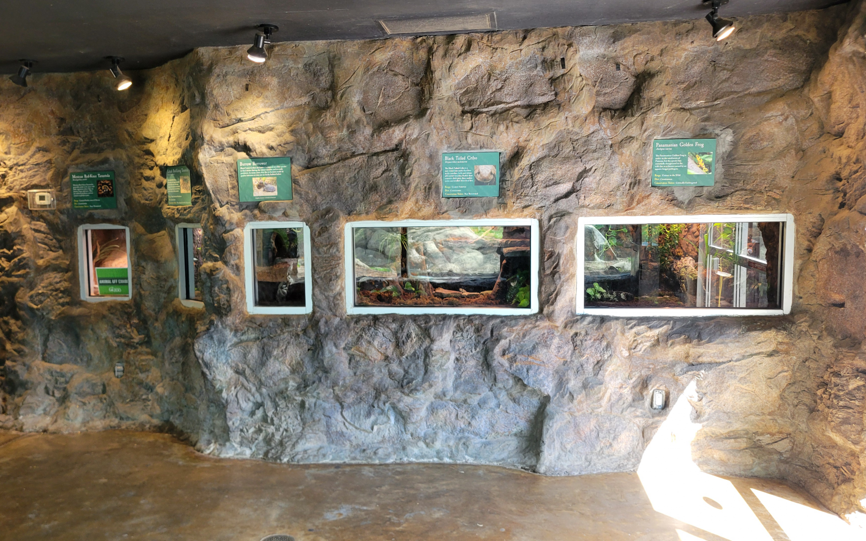 Apr. 2025 - Corcovado Jungle - Four Terrariums