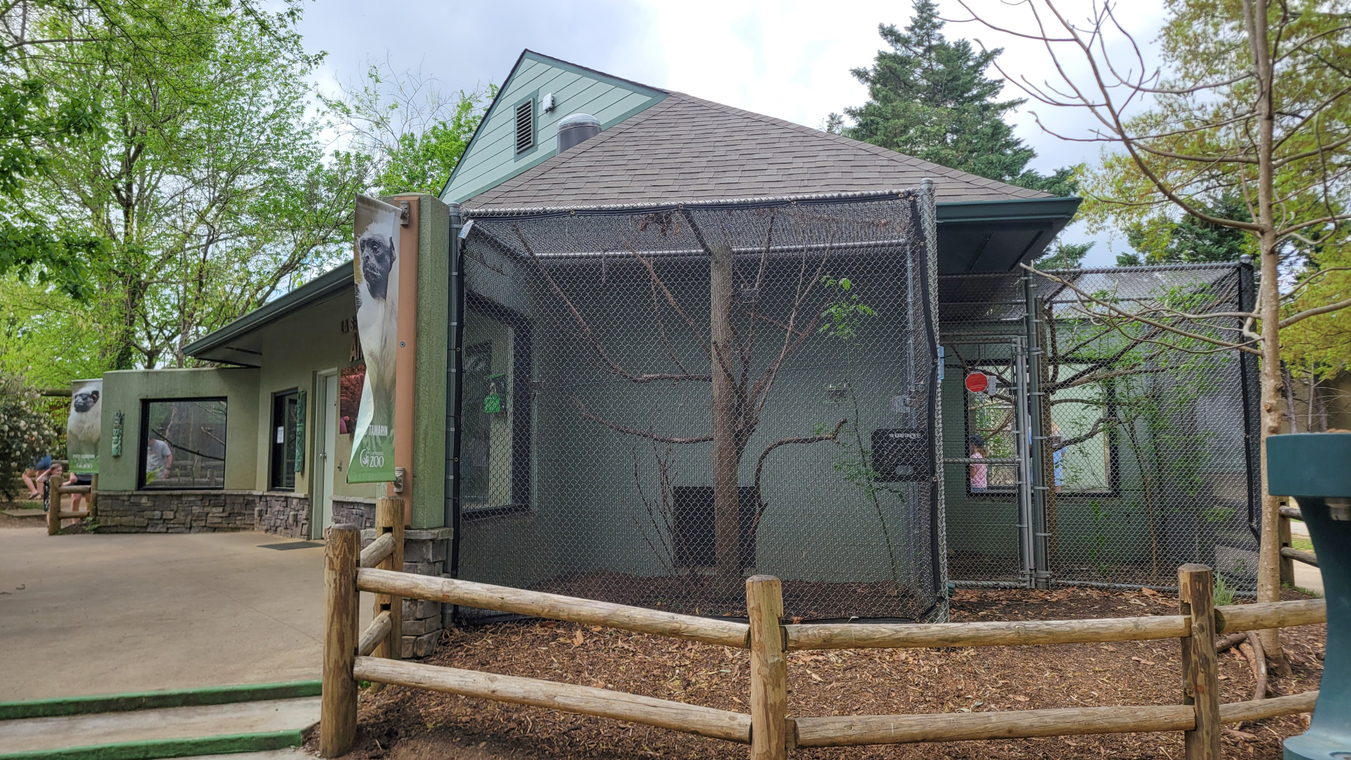 Apr. 2025 - Corcovado Jungle - La Selva Amazonica - Pied Tamarin Exhibits