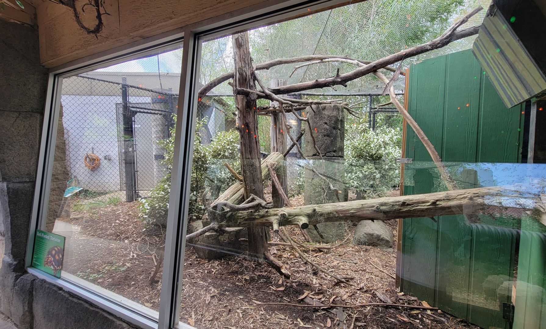 Apr. 2025 - Corcovado Jungle - Prehensile-tailed Porcupine/Red-footed Tortoise Outdoor Exhibit
