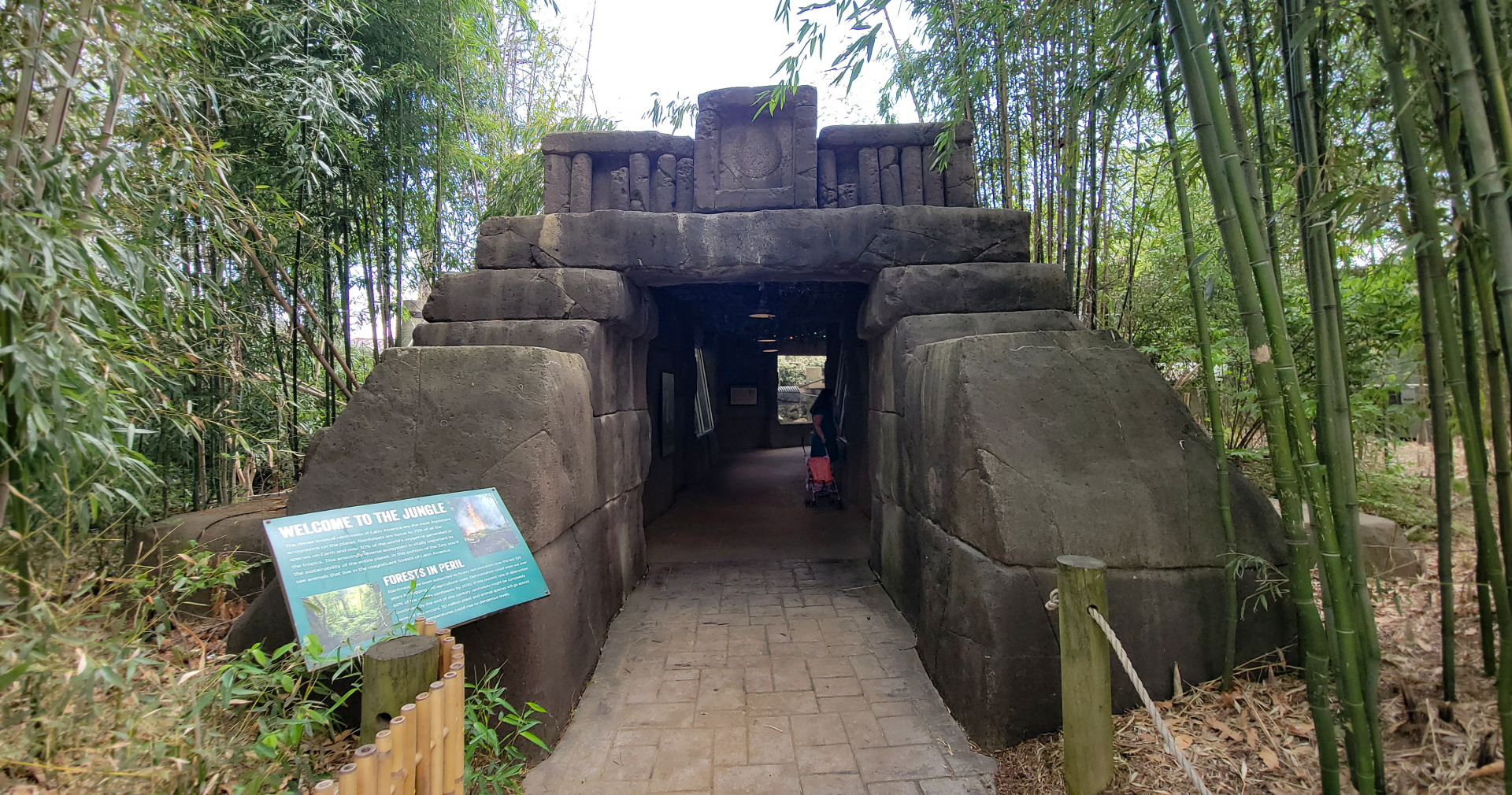 Apr. 2025 - Corcovado Jungle - Temple