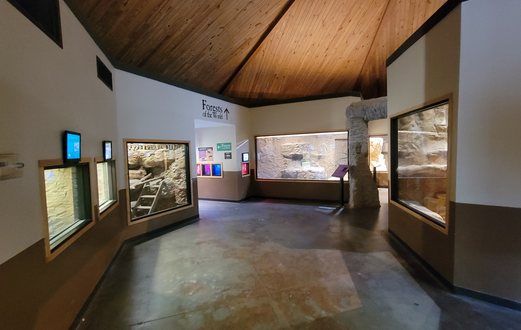 Apr. 2025 - Deserts & Forests of the World - General View