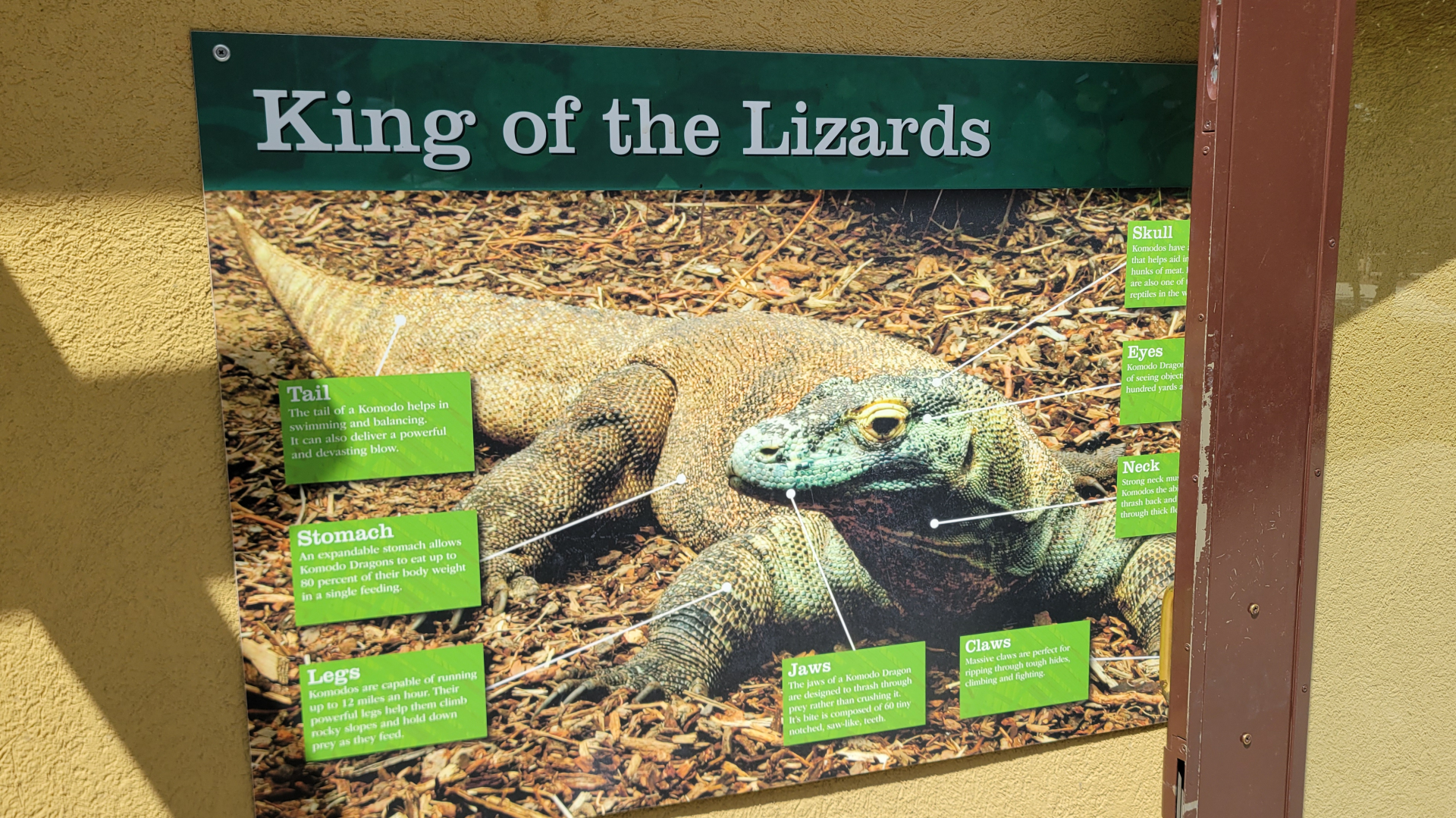 Apr. 2025 - Deserts & Forests of the World - Komodo Dragon Signage