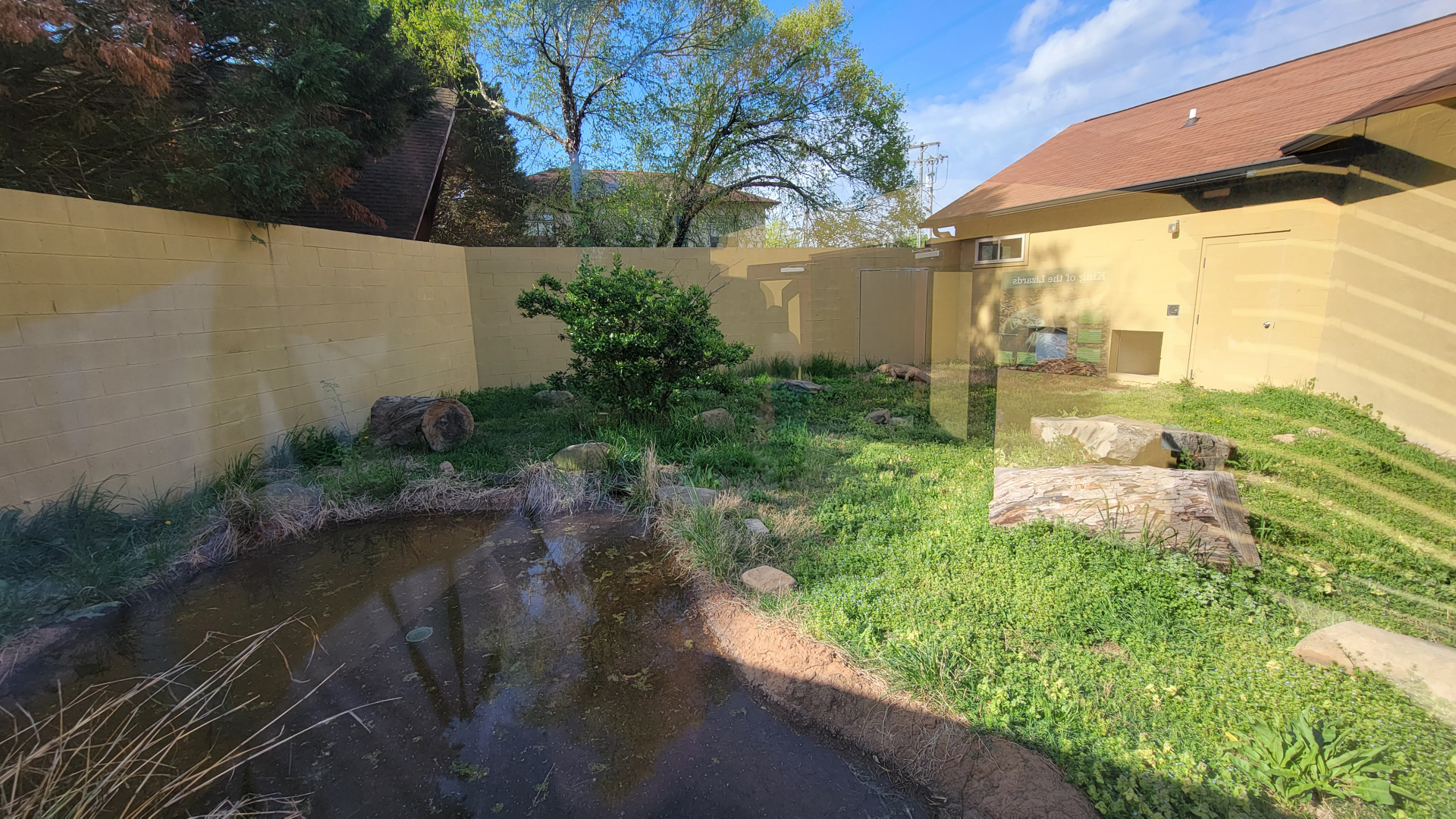 Apr. 2025 - Deserts & Forests of the World - Komodo Dragon