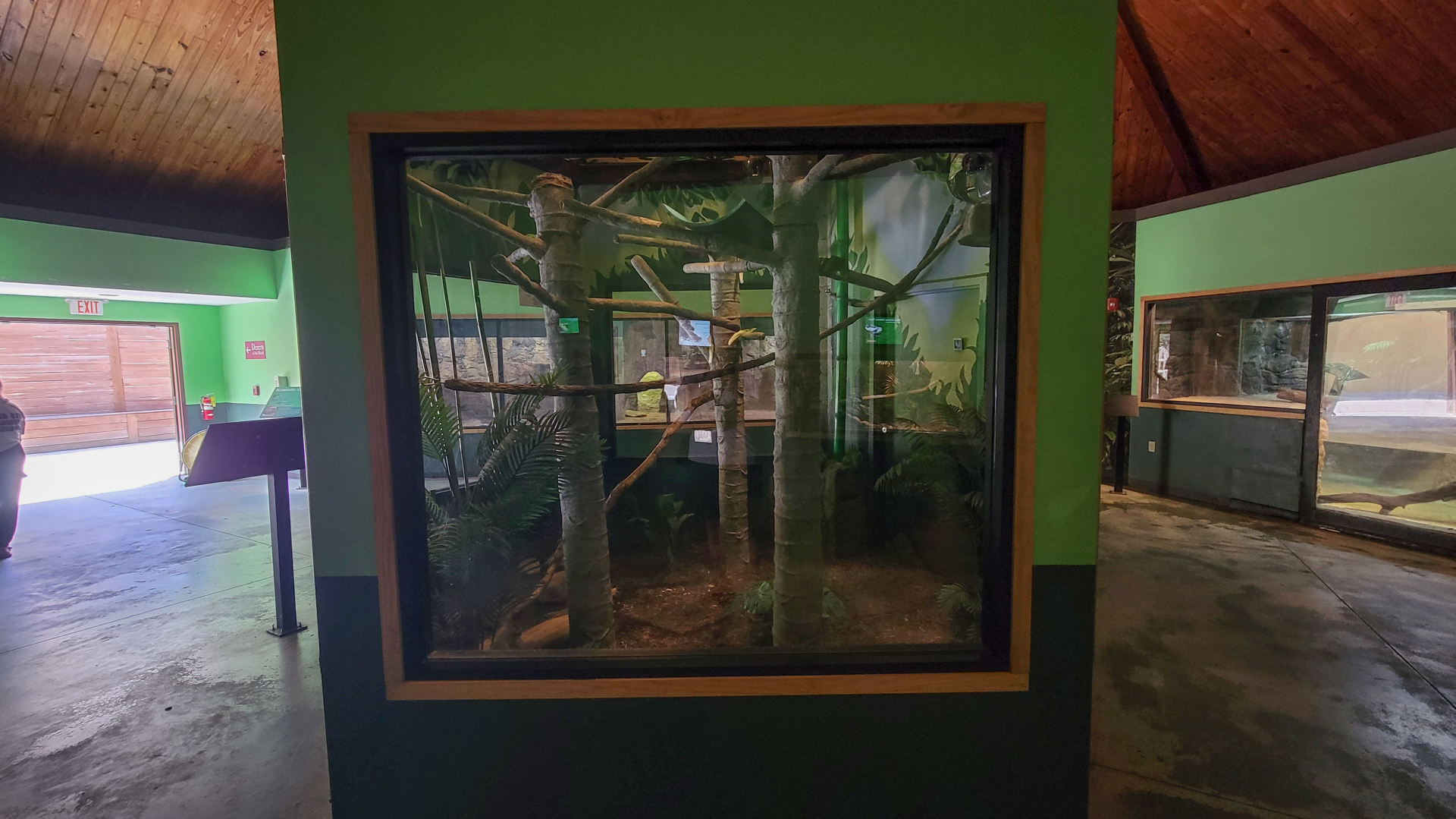 Apr. 2025 - Deserts & Forests of the World - Linne's Two-toed Sloth Exhibit