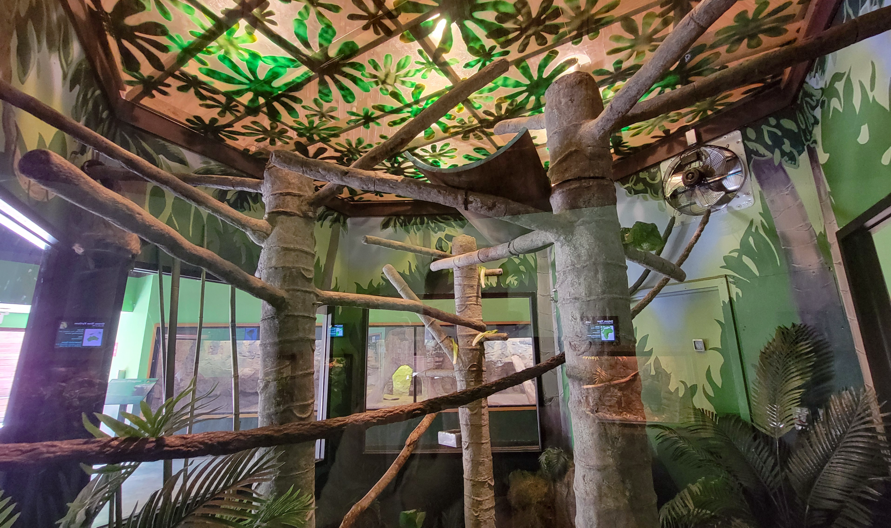 Apr. 2025 - Deserts & Forests of the World - Linne's Two-toed Sloth Exhibit