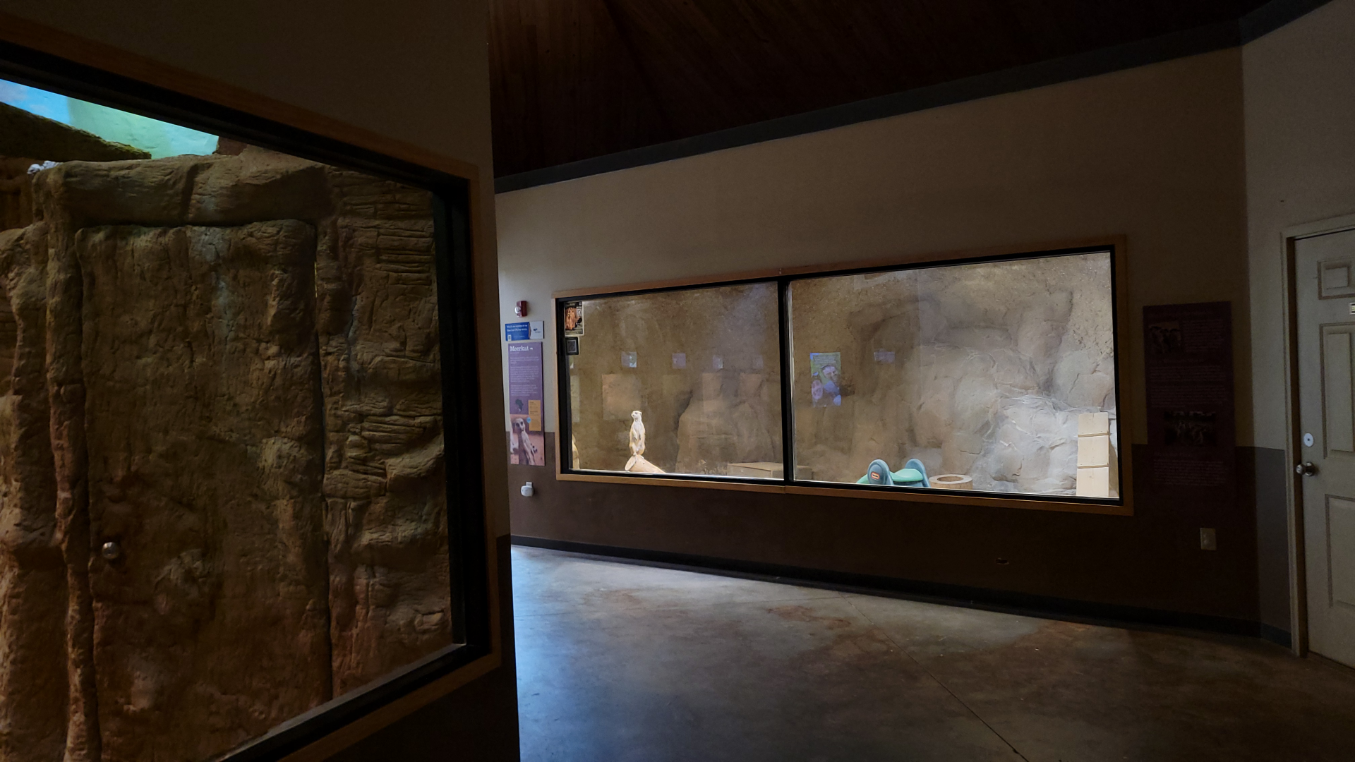 Apr. 2025 - Deserts & Forests of the World - Meerkat Exhibit