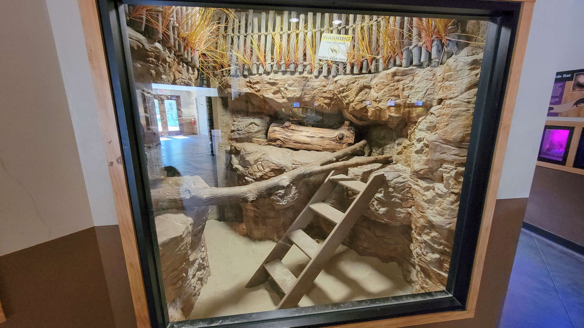 Apr. 2025 - Deserts & Forests of the World - Unsigned Empty Exhibit