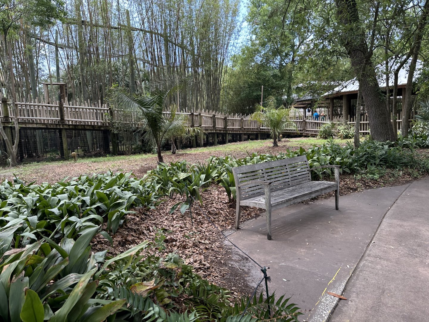 Apr. 2025 - Empty Space (former Leopard Aviary)