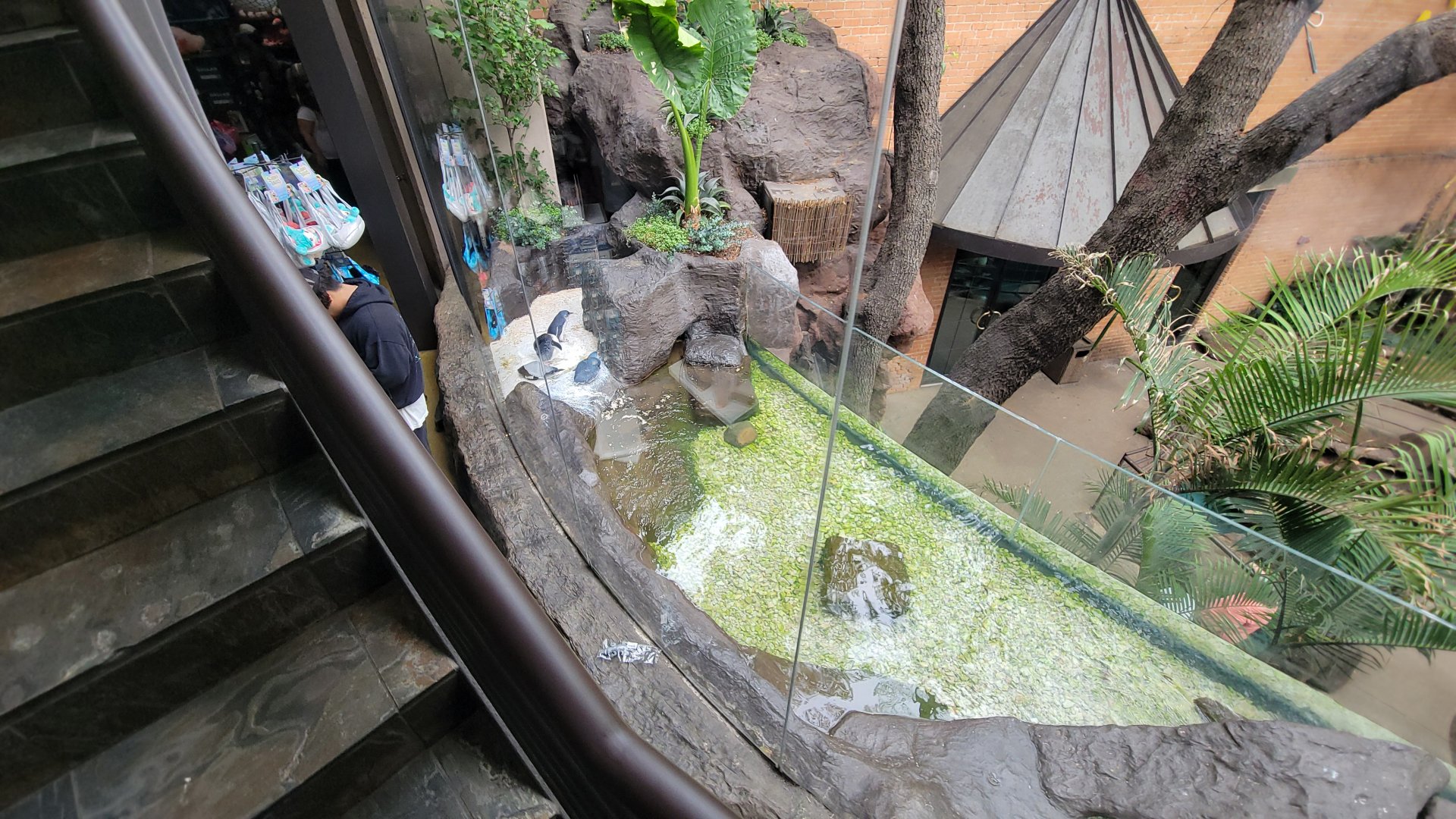 Apr. 2025 - Entrance - Blue Penguin Exhibit