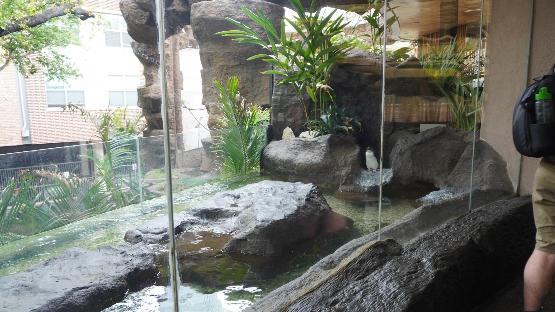 Apr. 2025 - Entrance - Blue Penguin Exhibit