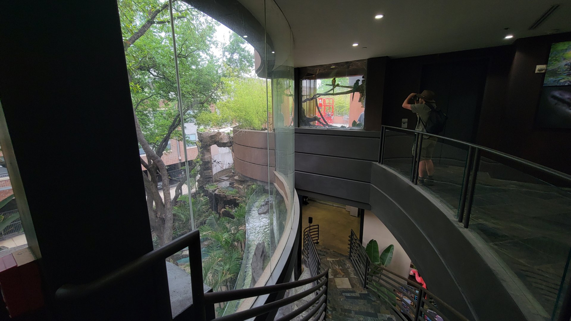 Apr. 2025 - Entrance - Blue-throated Macaw & Blue Penguin Exhibits