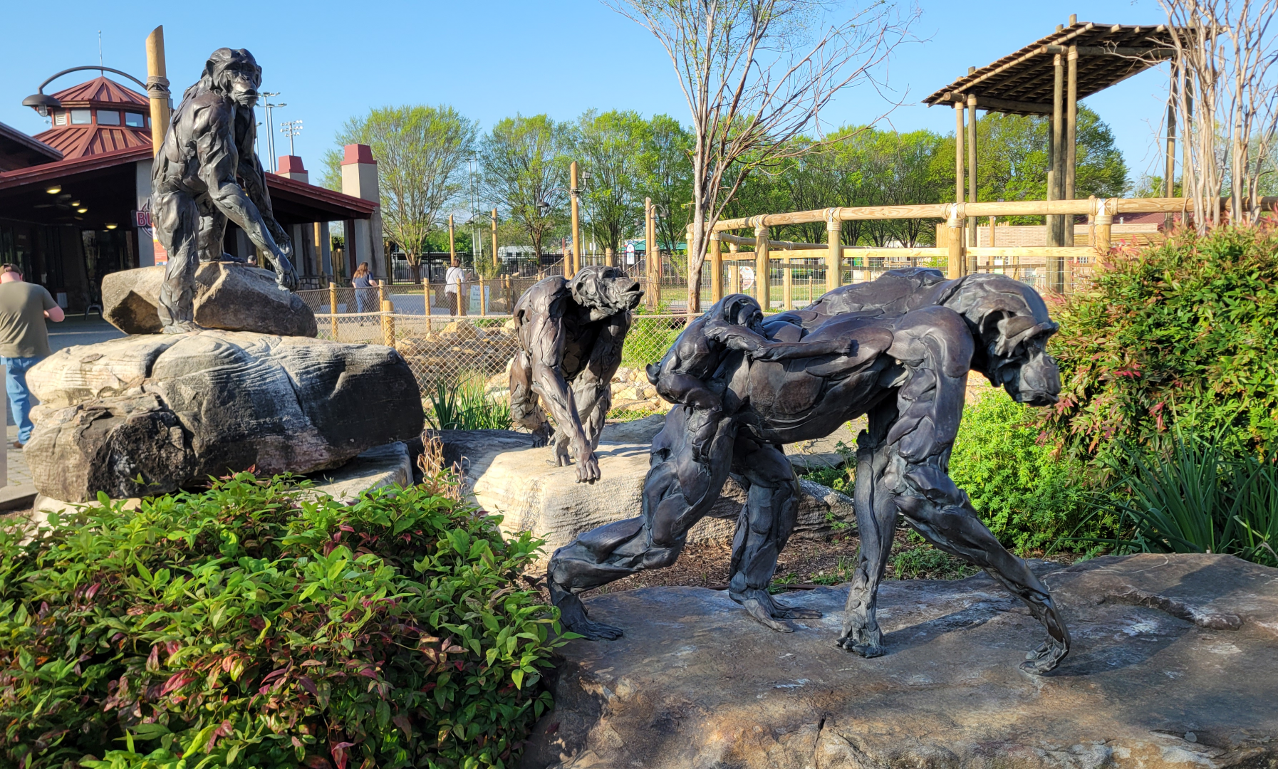 Apr. 2025 - Entrance - Chimpanzee Sculptures
