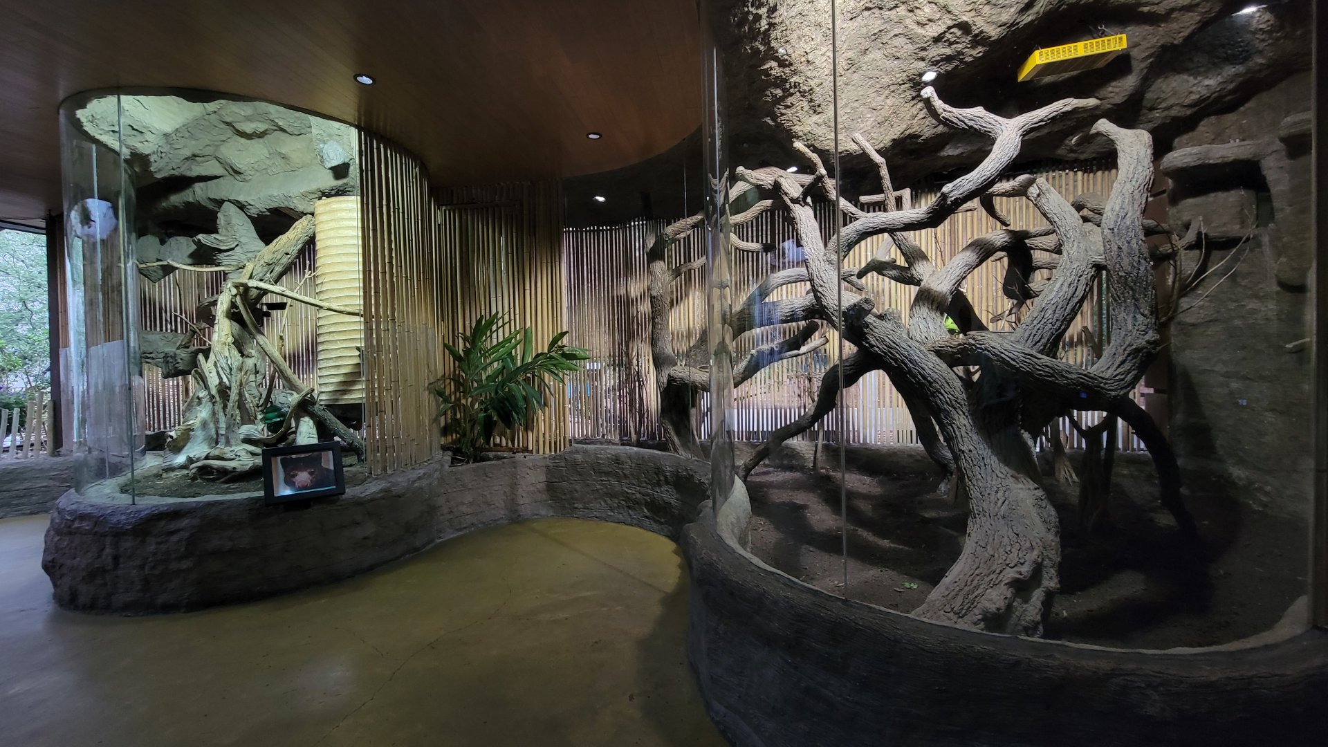 Apr. 2025 - Entrance - Matschie's Tree Kangaroo Exhibits