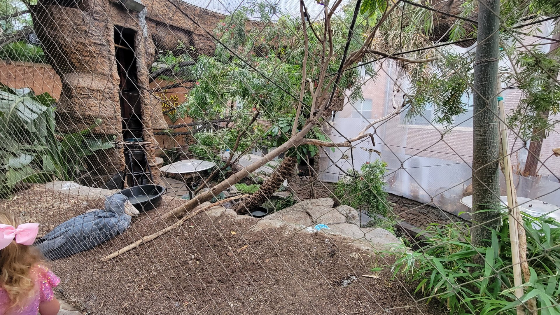 Apr. 2025 - Entrance - Shoebill Exhibit